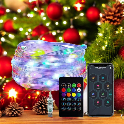 Dreamcolor Rgb Led Strip WS2812B Bluetooth Smart String Fairy Lights Christmas Garland Light Waterproof for Party Curtain Room